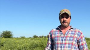 Colza 2025: Un cierre de campaña que marca tendencia en San Pedro