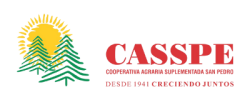 Logo - Color